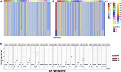 RobustTree: An adaptive, robust PCA algorithm for embedded tree structure recovery from single-cell sequencing data